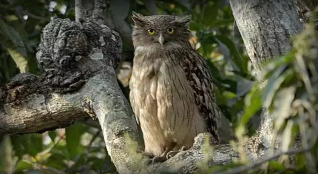 İSLAM’DA UĞURSUZ AY, GÜN VE ZAMANLAR VAR MIDIR? -2